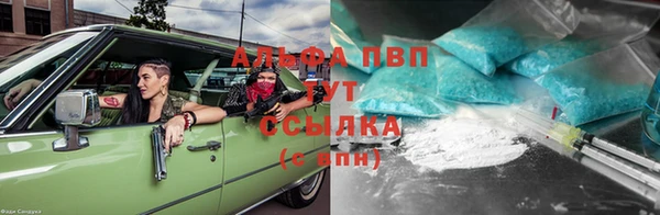 винт Сатка