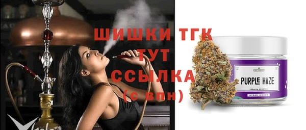 сатива Белоозёрский