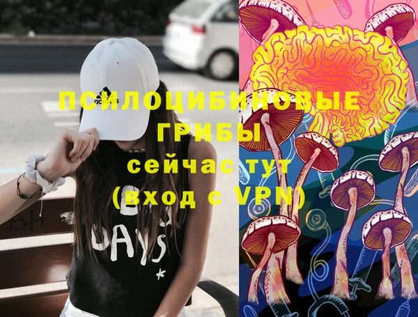 прущая мука Белокуриха