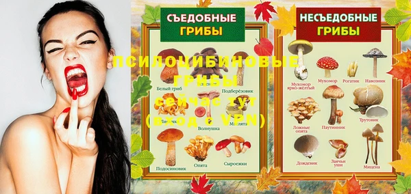 сатива Белоозёрский