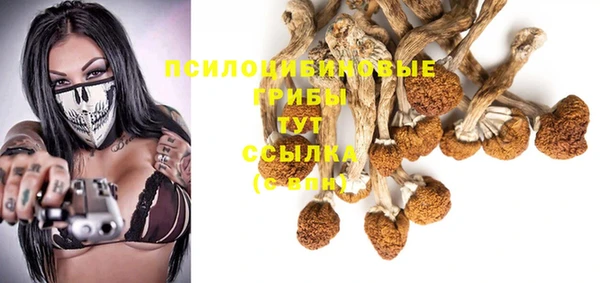 прущая мука Белокуриха