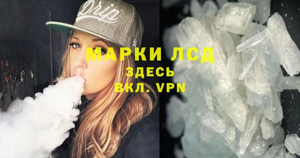сатива Белоозёрский