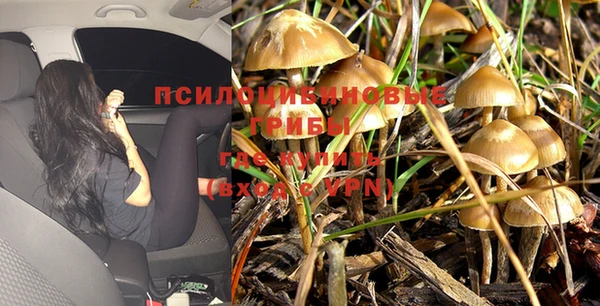 сатива Белоозёрский