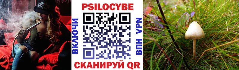 купить  цена  Няндома  ссылка на мегу как войти  Галлюциногенные грибы Cubensis 