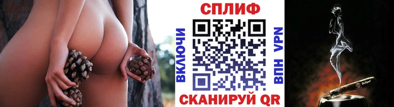 где найти наркотики  Няндома  Канабис конопля 